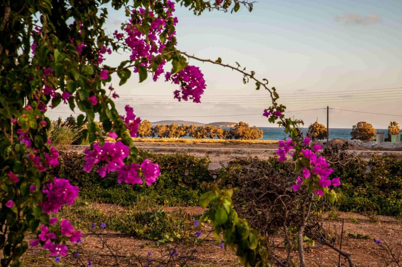 Statheros Garden Αντίπαρος Εξωτερικό φωτογραφία